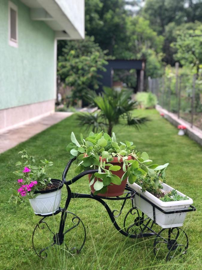 Asteris Apartments Demir Kapı Dış mekan fotoğraf